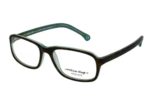 [LE0013_C10] Limited Edition 54-19 Tortoise/Mint