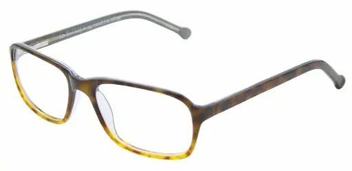 [LE0013_C3] Limited Edition 54-19 Havana/blue